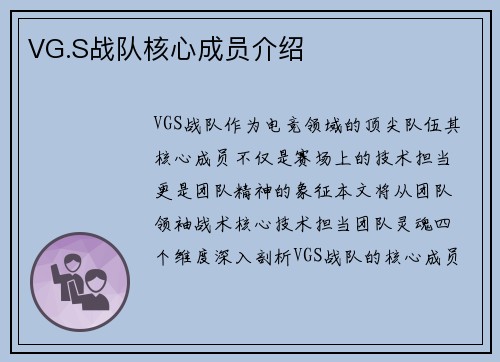 VG.S战队核心成员介绍