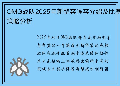 OMG战队2025年新整容阵容介绍及比赛策略分析